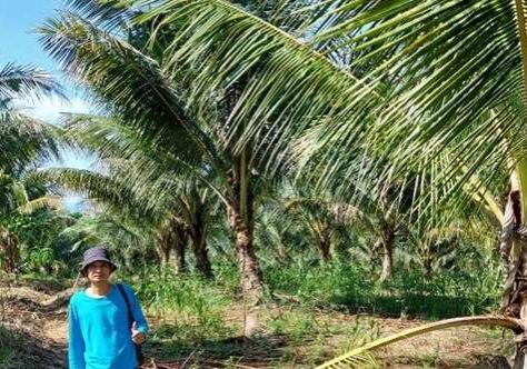 foto sistemaorganisagrinaya.com (12)
