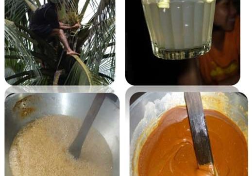 foto sistemaorganisagrinaya.com (13)
