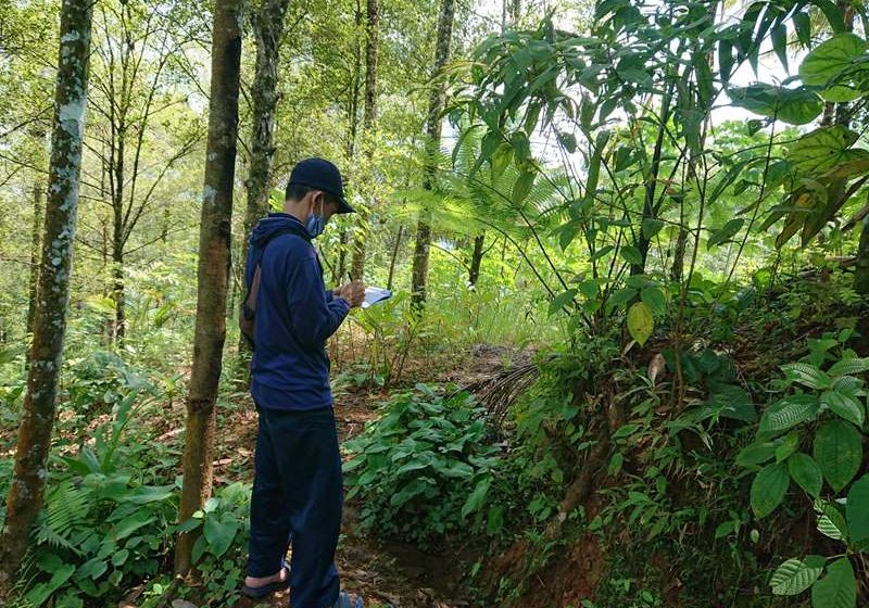foto sistemaorganisagrinaya.com (2)
